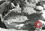 Image of Civilian Conservation Corps United States USA, 1939, second 23 stock footage video 65675064311