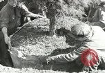 Image of Civilian Conservation Corps United States USA, 1939, second 24 stock footage video 65675064311