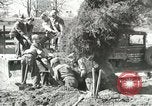 Image of Civilian Conservation Corps United States USA, 1939, second 26 stock footage video 65675064311