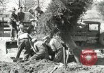 Image of Civilian Conservation Corps United States USA, 1939, second 27 stock footage video 65675064311