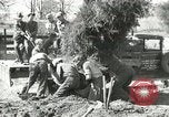 Image of Civilian Conservation Corps United States USA, 1939, second 28 stock footage video 65675064311