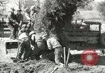 Image of Civilian Conservation Corps United States USA, 1939, second 30 stock footage video 65675064311