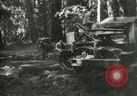 Image of Civilian Conservation Corps United States USA, 1939, second 31 stock footage video 65675064311