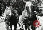 Image of Civilian Conservation Corps United States USA, 1939, second 37 stock footage video 65675064311