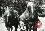 Image of Civilian Conservation Corps United States USA, 1939, second 38 stock footage video 65675064311