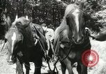Image of Civilian Conservation Corps United States USA, 1939, second 39 stock footage video 65675064311