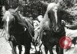 Image of Civilian Conservation Corps United States USA, 1939, second 40 stock footage video 65675064311