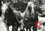 Image of Civilian Conservation Corps United States USA, 1939, second 41 stock footage video 65675064311