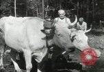 Image of Civilian Conservation Corps United States USA, 1939, second 42 stock footage video 65675064311