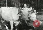 Image of Civilian Conservation Corps United States USA, 1939, second 43 stock footage video 65675064311