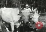 Image of Civilian Conservation Corps United States USA, 1939, second 44 stock footage video 65675064311