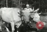 Image of Civilian Conservation Corps United States USA, 1939, second 45 stock footage video 65675064311