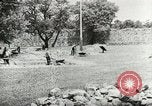 Image of Civilian Conservation Corps United States USA, 1939, second 26 stock footage video 65675064312