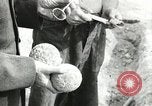 Image of Civilian Conservation Corps United States USA, 1939, second 48 stock footage video 65675064312