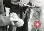 Image of Civilian Conservation Corps United States USA, 1939, second 50 stock footage video 65675064312