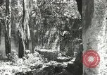 Image of Civilian Conservation Corps United States USA, 1939, second 40 stock footage video 65675064314