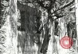 Image of Civilian Conservation Corps United States USA, 1939, second 45 stock footage video 65675064314