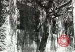 Image of Civilian Conservation Corps United States USA, 1939, second 46 stock footage video 65675064314