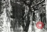 Image of Civilian Conservation Corps United States USA, 1939, second 47 stock footage video 65675064314