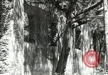 Image of Civilian Conservation Corps United States USA, 1939, second 48 stock footage video 65675064314
