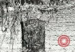 Image of Civilian Conservation Corps United States USA, 1939, second 54 stock footage video 65675064314