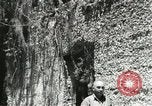 Image of Civilian Conservation Corps United States USA, 1939, second 57 stock footage video 65675064314