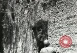 Image of Civilian Conservation Corps United States USA, 1939, second 59 stock footage video 65675064314
