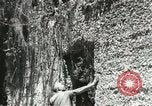 Image of Civilian Conservation Corps United States USA, 1939, second 62 stock footage video 65675064314
