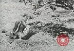 Image of Civilian Conservation Corps United States USA, 1939, second 3 stock footage video 65675064317