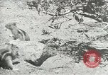 Image of Civilian Conservation Corps United States USA, 1939, second 4 stock footage video 65675064317