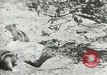 Image of Civilian Conservation Corps United States USA, 1939, second 5 stock footage video 65675064317