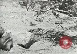 Image of Civilian Conservation Corps United States USA, 1939, second 6 stock footage video 65675064317
