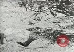 Image of Civilian Conservation Corps United States USA, 1939, second 7 stock footage video 65675064317