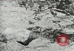 Image of Civilian Conservation Corps United States USA, 1939, second 9 stock footage video 65675064317