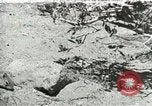 Image of Civilian Conservation Corps United States USA, 1939, second 10 stock footage video 65675064317