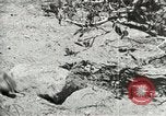 Image of Civilian Conservation Corps United States USA, 1939, second 12 stock footage video 65675064317
