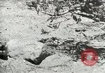 Image of Civilian Conservation Corps United States USA, 1939, second 15 stock footage video 65675064317