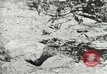 Image of Civilian Conservation Corps United States USA, 1939, second 16 stock footage video 65675064317