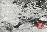 Image of Civilian Conservation Corps United States USA, 1939, second 18 stock footage video 65675064317