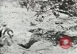 Image of Civilian Conservation Corps United States USA, 1939, second 19 stock footage video 65675064317