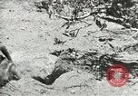 Image of Civilian Conservation Corps United States USA, 1939, second 20 stock footage video 65675064317