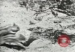 Image of Civilian Conservation Corps United States USA, 1939, second 21 stock footage video 65675064317