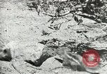 Image of Civilian Conservation Corps United States USA, 1939, second 22 stock footage video 65675064317