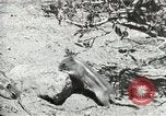 Image of Civilian Conservation Corps United States USA, 1939, second 23 stock footage video 65675064317