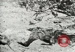 Image of Civilian Conservation Corps United States USA, 1939, second 24 stock footage video 65675064317