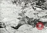 Image of Civilian Conservation Corps United States USA, 1939, second 25 stock footage video 65675064317