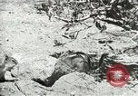 Image of Civilian Conservation Corps United States USA, 1939, second 26 stock footage video 65675064317
