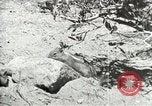 Image of Civilian Conservation Corps United States USA, 1939, second 27 stock footage video 65675064317