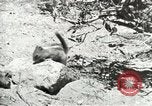 Image of Civilian Conservation Corps United States USA, 1939, second 28 stock footage video 65675064317