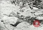 Image of Civilian Conservation Corps United States USA, 1939, second 29 stock footage video 65675064317